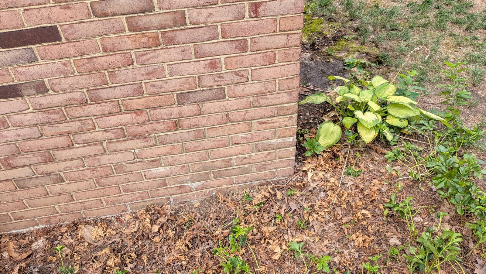 Close-up of a brick wall corner with freshly repointed mortar joints by LBE Masonry, York County PA