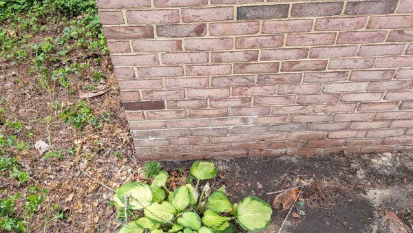 Repointed brick wall near ground level with hostas in the planting bed, York County PA